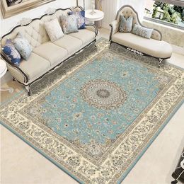 Modern Chinese Living Room Persian Carpet Simple Bedroom Decoration Area Rug Large Porch Door Mat Absorbent Nonslip Bath 240223