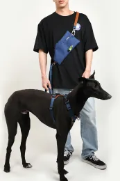 Carriers Dog Travel Sling Bag Puppy Diagonal Span Accompanying Backpack With Lead Leash Chest Carrier Bag