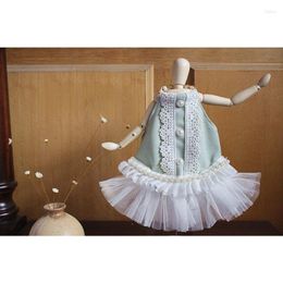 Dog Apparel Teddy Clothes Spring Summer Princess Dress Vintage Mesh Lace Pearl Suspenders Charpy Bear Pet