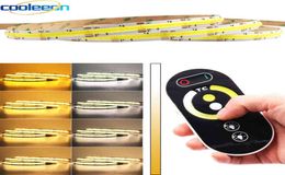 Bicolor CCT COB Strip LED Light Bar with Dimmer 24V 12V FOB Soft Flexible COB Tape Yellow Cool White 27006500K Dimmable W2203118080320