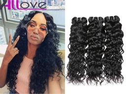 Brazilian Hair Extensions 3Pcslot Cheap 8A Unprocessed Human Hair Weaves Peruvian Water Wave Virgin Hair Wefts Whole5740452