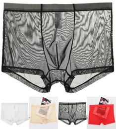 Underpants Men Sexy Underwear Nylon Seamless Ice Silk UltraThin Briefs See Through Mesh Boxer Transparent Shorts7978374