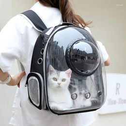 Cat Carriers Window Bubble Carrying Travel Bag Breathable Space Transparent Pet Carrier Dog Backpack