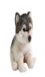 Dorimytrader quality soft simulation animal wolf plush doll mini stuffed husky dog toy pet animals kids gift 27x16x24cm DY501202616982