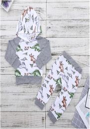 Boy Girl Dianosaur Printed Long Sleeve Hoodies with Hat and Pants Set Baby Spring and Autumn Cartoon Trousers Suit Two Pieces Kids8407914