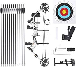 Bow Arrow Archery Compound Bow Set With Carbon Arrows 20-70lbs Adjustable Pulley Bow 340FPS Arrow Speed For Outdoor Hunting Shooting YQ240301