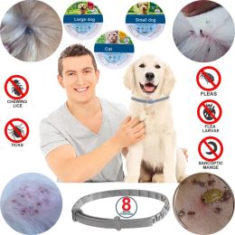 Collars Dog Pet Flea Tick For Collar Large Medium Small Dogs Cat Adjustable Puppy Leash Accessories Collars Prevention Repellent Insect