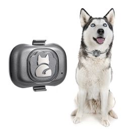 Trackers 2G Gps Tracker For Dog Locator Waterproof AntiLost Device Smart Phone Object Finder Small Alarm Pet AntiTheft