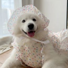 Dresses Dog Clothes Antihair Loss Medium and Large Dogs Labrador Samoyed Husky Side Shepherd Shiba Dog Hat Clothes