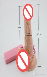 2016 Newest Silicone Realistic Dildo 7039039 Big Dildo Vibrator Strapon Penis Suction Cup Double Vibrators Se5281028