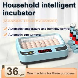 Accessories 36 Eggs Chicken Bird Incubator Eggs Hatching Machine for Hatching Chicken Duck Quail Automatic Intelligent Farm Supplies