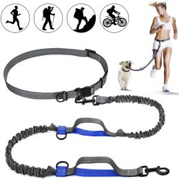 Leashes 2022 New Reflective Leash Traction Rope Pet Dog Running Belt Elastic Hands Freely Jogging Pull Dog Leash Metal Dring Leashes