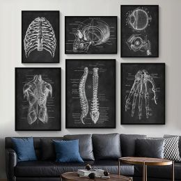 Gravestones Human Anatomy Artwork Medical Clinic Wall Picture Skeleton Organ Muscle System Vintage Canvas Print Body Education Poster