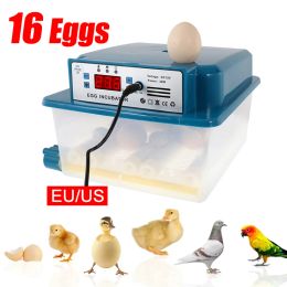 Accessories 16 Eggs Fully Automatic Digital Incubator Brooding Machine Poultry Hatcher Turner Brooder Farm Chicken Bird Incubator Machine