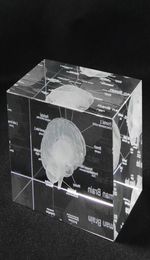 3D Human Anatomical Model Paperweight Laser Etched Brain Crystal Glass Cube Anatomy Mind Neurology Thinking Medical Science Gift 23450924