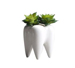 Tooth Shape Desktop Ceramic Succulent Plants Pot Modern Design Mini Planter Pots Flower Vase Decor C190419018450816
