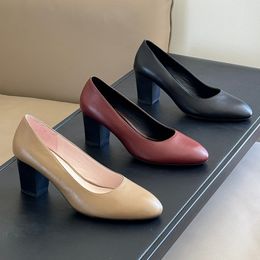 Stylish Designers Heels for Women - Elegant & Fashionable Shoes for Every Occasion, Comfortable and Chic