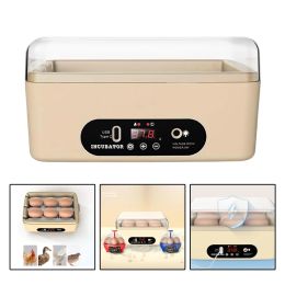 Accessories 6 Eggs Automatic Egg Incubator Poultry Hatching Machine Mini Turning Temperature Control Breeder for Chicken Birds Duck Goose