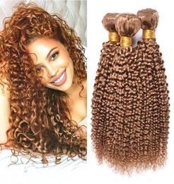 Brazilian Honey Blonde Human Hair 3 Bundles Kinky Curly Malaysian Peruvian 27 Pure Colour Curly Virgin Human Hair Weave Extensions5789907