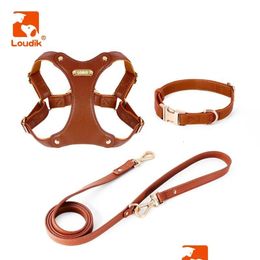 Dog Collars & Leashes Dog Collars Leashes Loudik Luxury Leather Harness And Leash Set Id Name Printed No Pl Adjustable Small Medium La Dhpmp