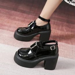 Dress Shoes High Heels Mary Janes Women Chunky Platform Spring 2024 Elegant Lolita Fad Party Pumps Female Zapatillas
