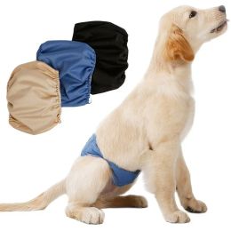 Shorts Washable Physiological Pants for Dogs, Male Dog Prevention, Estrus Panties, Menstrual Safety Pants, Pets Sanitary Polite Belt