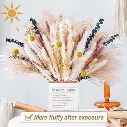 Pampas Rabbit Tail Grass, Dusting, Small Reed, Home Decoration, Mix and Match with Dried Flower Bouquets