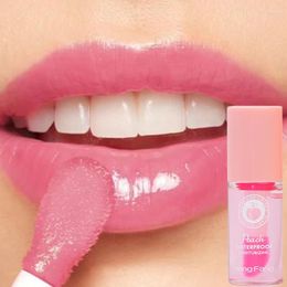Lip Gloss Moisturizing Transparent Holographic Plumping Oil Waterproof Last Temperature Control Color Changing Hydrating Cosmetics