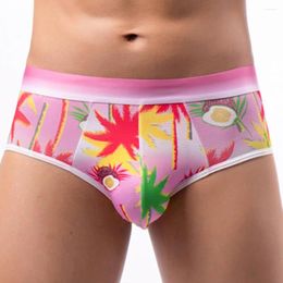 Underpants Sexy Men Bikini Briefs Funny Printing Pouch Panties Thin Breathable Underwear Elasticity Low Rise Casual Swimwear