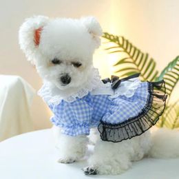 Dog Apparel Precise Wiring Pet Dress Chic Mesh Splicing Princess With Bow Decoration Doll Collar Fashionable For Pooch