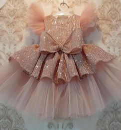 Girl039s Dresses Sequin Cake Double Baby Girl Dress 1 Year Birthday Born Party Wedding Vestidos Christening Ball Gown Clothes5979090