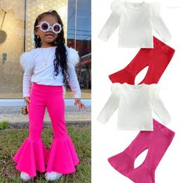 Clothing Sets FOCUSNORM 0-4Y Fashion Little Girls Clothes 2pcs Long Sleeve Fluffy Patchwork T-shirt Solid High Waist Flare Pants