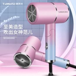 Dryer 800W Negative Ion Hair Dryer Constant Temperature Hair Care without Hurting Hair Light and Portable Essential for Home Travel