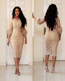 Champagne Lace Short Mother of the Bride Dresses Plus Size 2019 Tea Length 34 Long Sleeve Sheath Mother of Groom Gowns M024660784