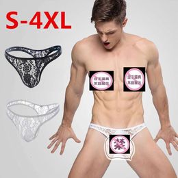 Men's Low Waist Lace Sexy Triangle Transparent Fun G-String Pants Comrades S-4Xl 972178