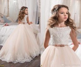 Lovely Flower Girl Dresses for Wedding Blush Pink Princess Tutu Sequined Appliqued Lace Bow Vintage Child First Communion Dress5026231