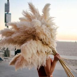 Decorative Flowers & Wreaths Large Pampas Grass 48"Dried Fluffy Natural Dried Home Boho Decor Country Wedding Pompas Floral DecorationD 2024302