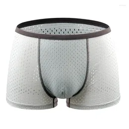 Underpants Men Sexy Underwear Solid Colour Ultra-thin Transparent Male Mesh Quick Dry Mid-rise Four Corner Knickers