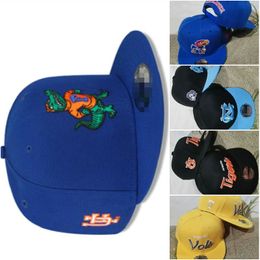 Gators Alabama Crimson Tide Baseball 2024 All Team Fan's USA College Adjustable Hat On Field Mix Order Size Closed Flat Bill Base Ball Snapback Caps Bone Chapeau a1