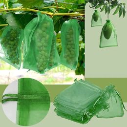 Kits 20/50/100pcs Grapes Fruit Protection Bags Garden Mesh Bags Agricultural Orchard Pest Control Antibird Netting Vegetable Bags