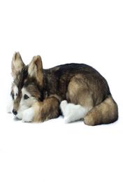 Dorimytrader realistic animal husky plush toy stuffed soft simulation dog pet dogs decoration gift 36x25x14cm DY800075725579