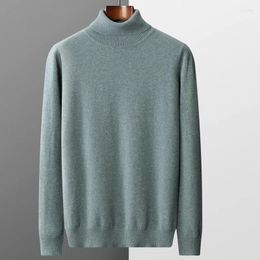 Men's Sweaters RONGYI Sweater Turtleneck Pure Wool Pullover Long Sleeve Autumn/Winter Basic Warm Business Casual Knit