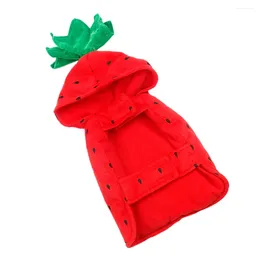 Cat Costumes The Clothes For Pets Vacation Decor Halloween Fleece Puppy Strawberry Costume