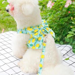 Dog Apparel Small Harness Leash Pet Set Stylish Mesh Fabric Dress With For Dogs Cats Super