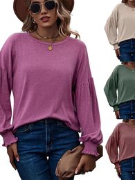 Women's Blouses 2024 Top Autumn/Winter Product Round Neck Folded Lantern Sleeves Long T-shirt