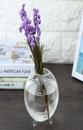 Home Garden Office Round Transparent Glass Vase Hydroponic Terrarium Planter Holder Flower Vase Glass Plant Home Bonsai Decor4321953