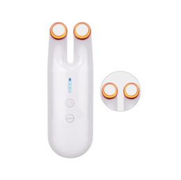 Portable Radio Frequency RF Face Lifting Machine With Led BIO For Skin Tightening Wrinkle Removal Home Use8595980