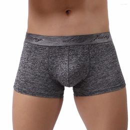 Underpants Underwear Men Boxer Comfortable Knickers Shorts Sexy Boxershorts Cueca Masculina 2024 Ropa Interior