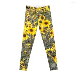 Active Pants Mountain Sunflowers Ski Apache Mexico Leggings Exercise Clothing For Sweatpants Workout Shorts Womens