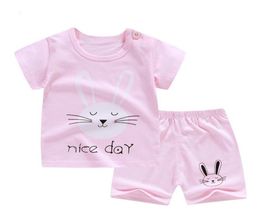 ZWY795 Designer Summer New Baby Boy Clothing Sets Toddler Girl Sport Suit Kids Casual Outfits Good Quality Cotton Suits 2103165003829